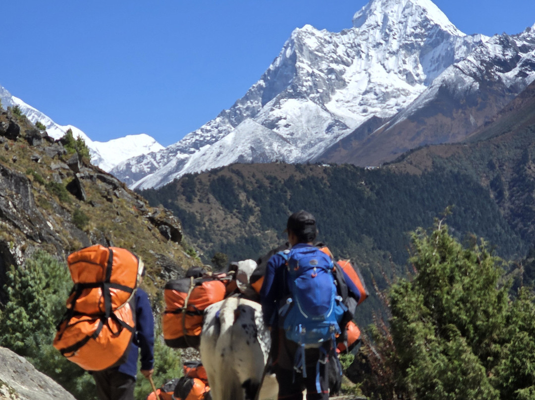 Extreme Expeditions-克卢日-纳波卡必去景点