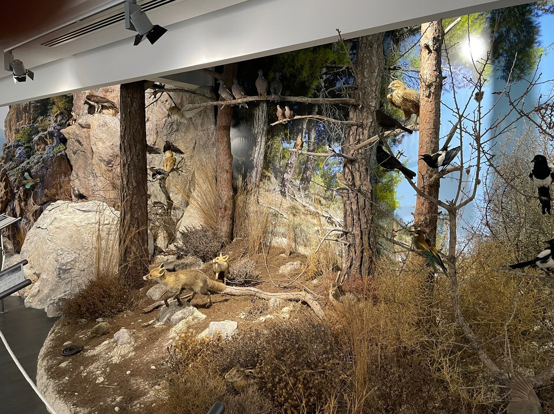 Episkopi Pafos Environmental Information Centre-Episkopi必去景点