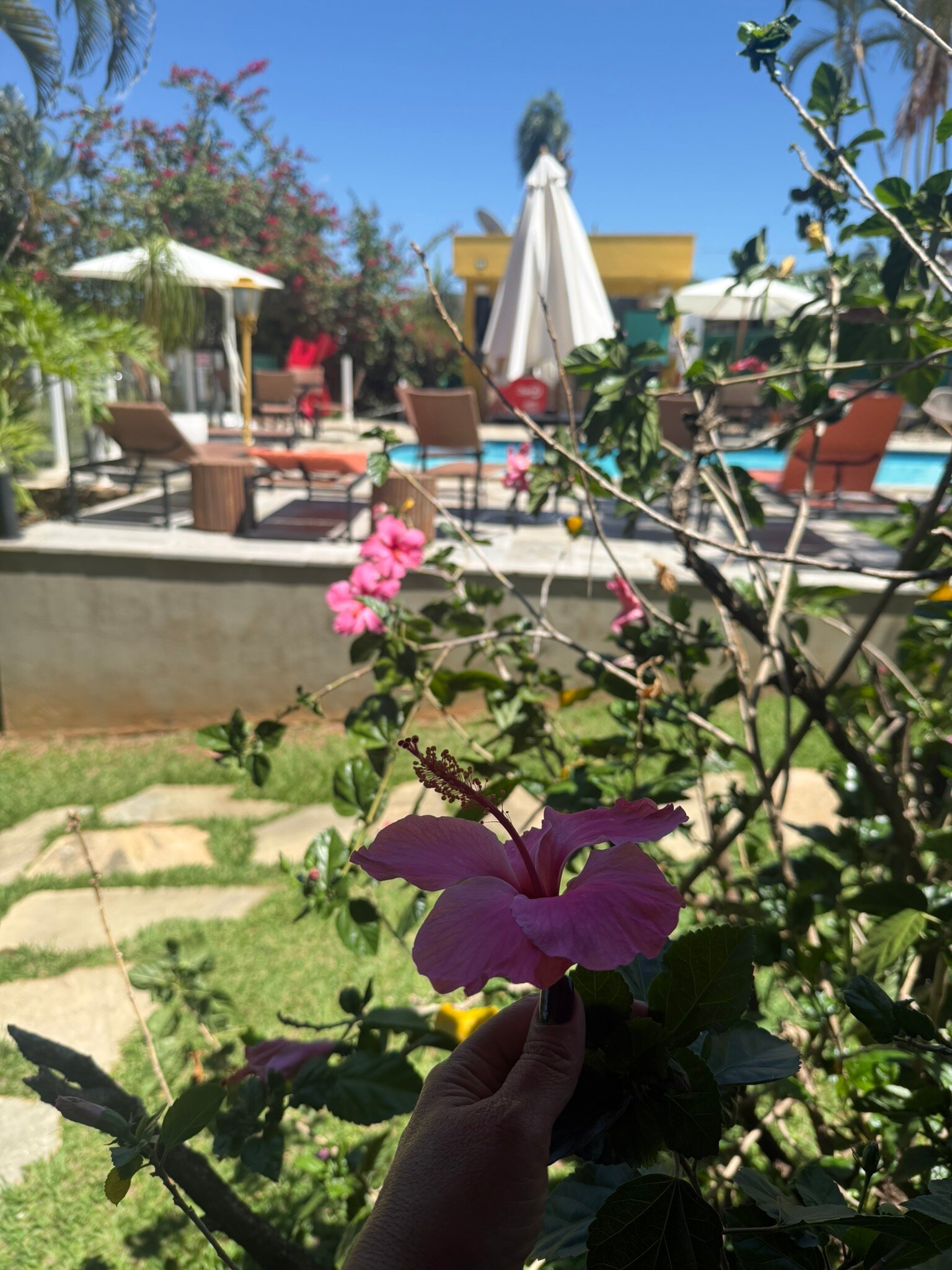 Pousada Tajupá-官方