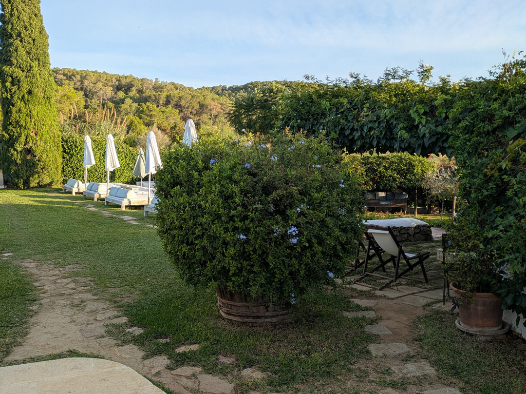 Can Quince Balafia Ibiza Hotel主图