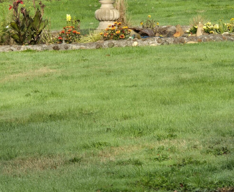 Ocean Breeze Motel主图