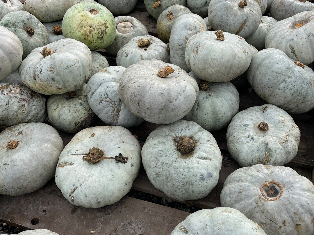 Avon Valley Adventure Park-Keynsham必去景点