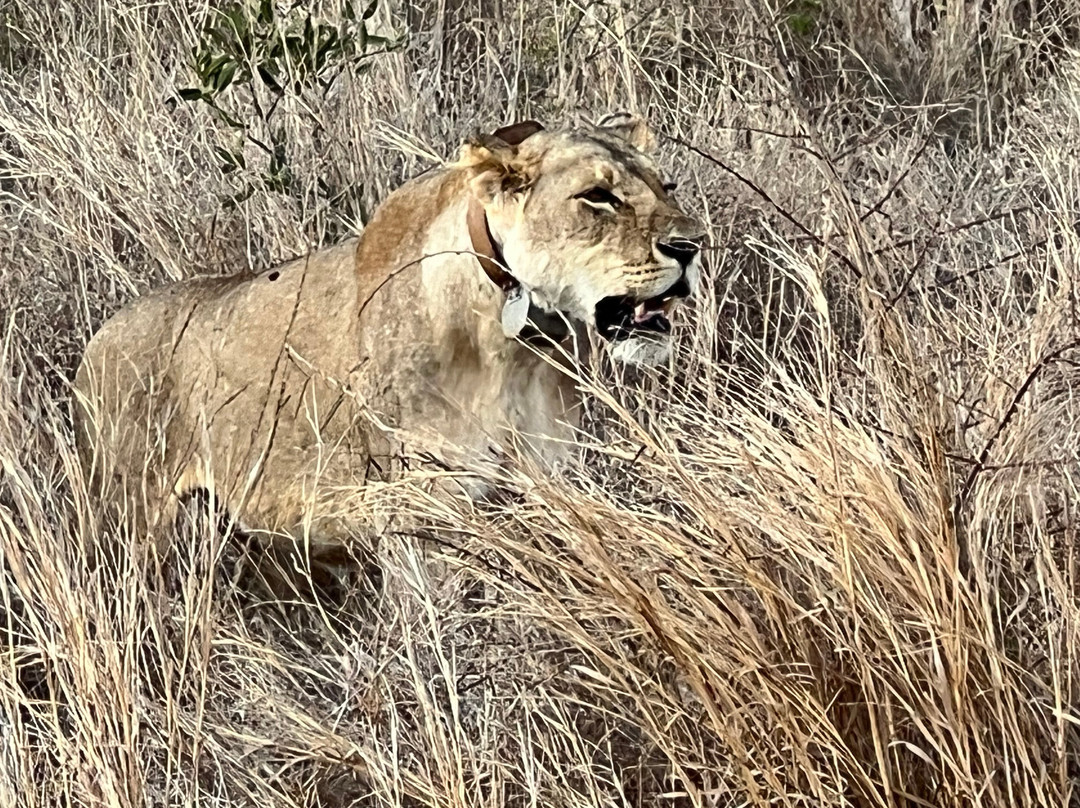 In Kenya Con Paulo-瓦塔木必去景点