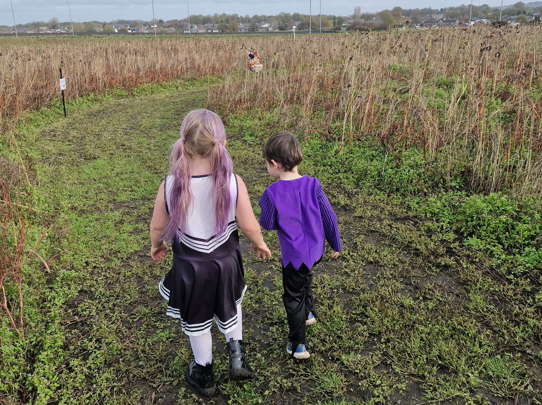 Inglenook Farm-圣海伦斯必去景点