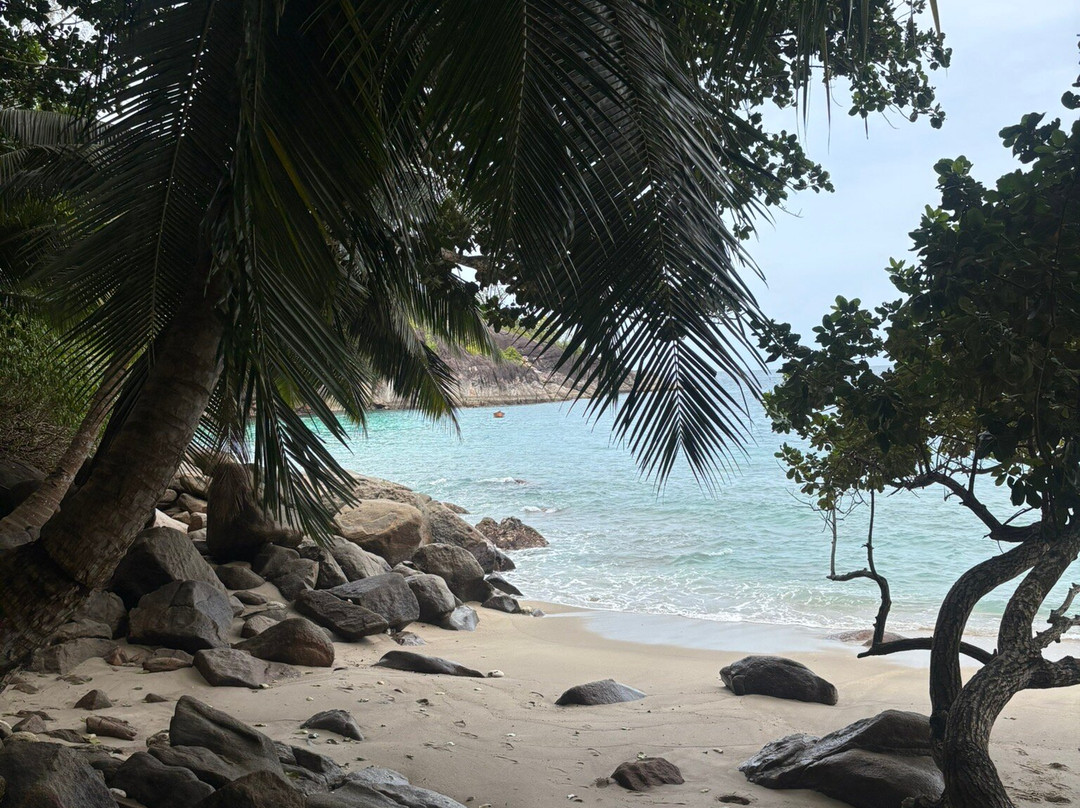 TAXI BOAT Happiness-博瓦隆必去景点
