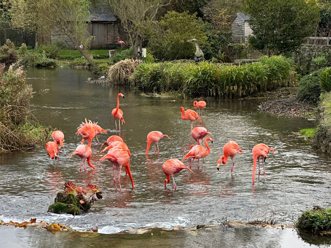 鸟园-水上伯顿必去景点