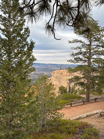 Tyler Inn at Zion主图