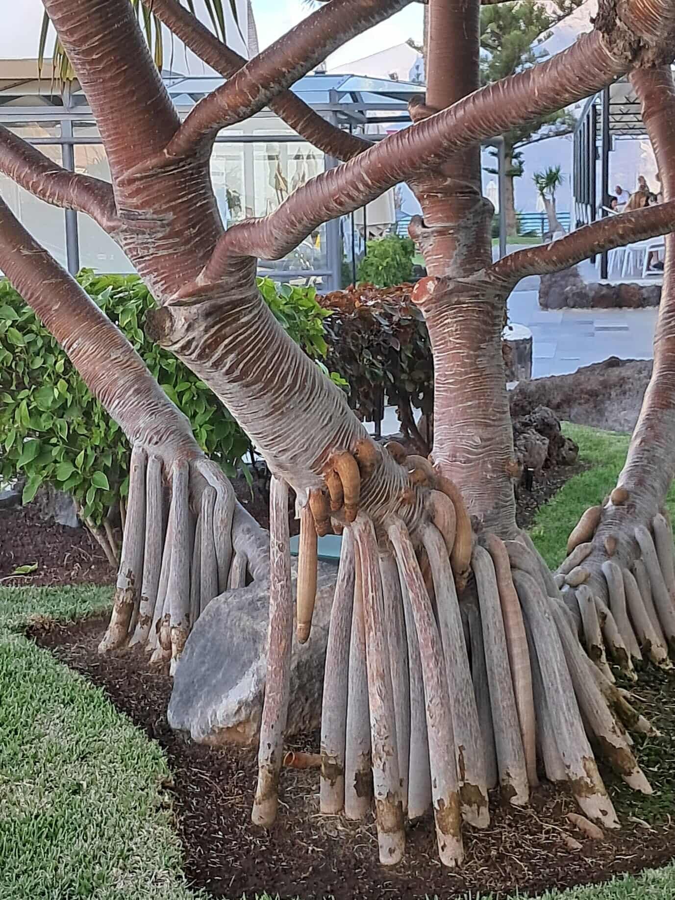 Barceló Santiago - Adults Only-浴室