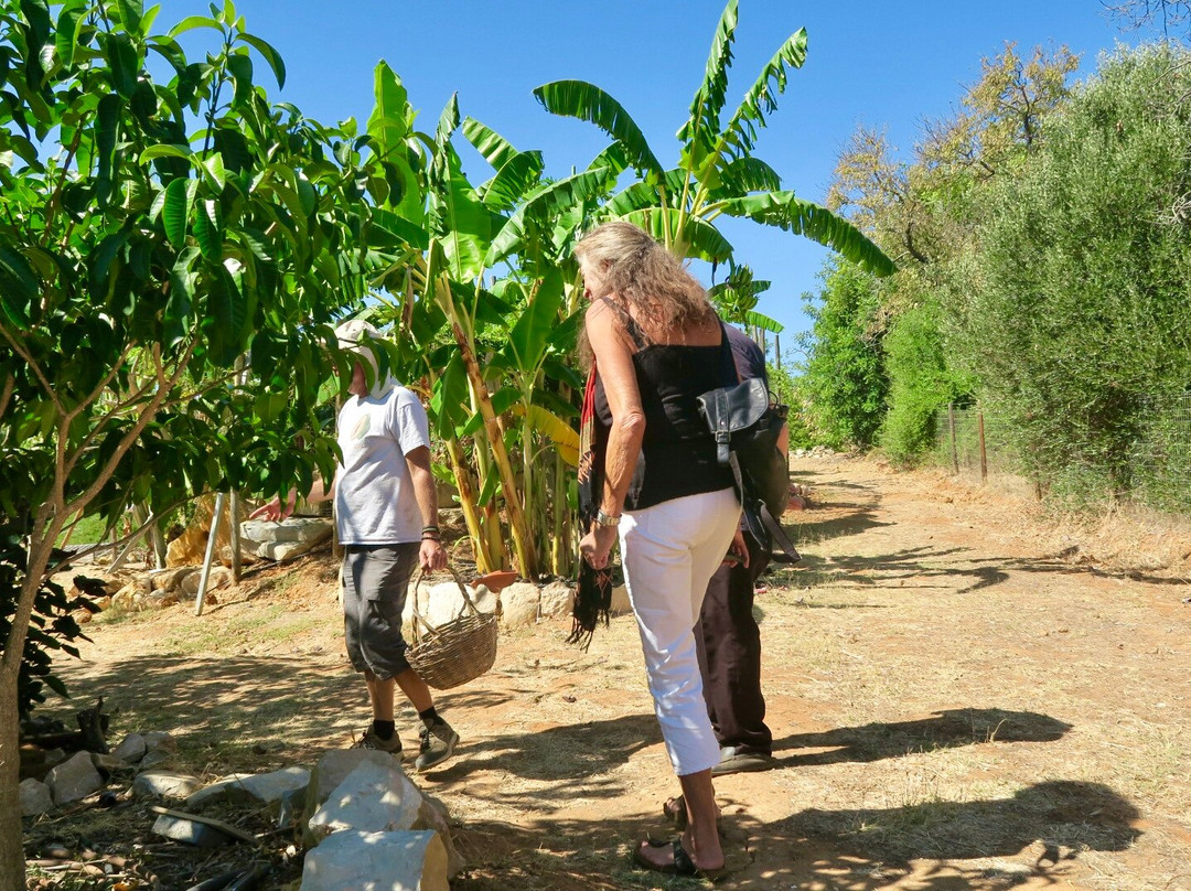 Orchard Of Flavours Botanical Garden-Luz de Tavira必去景点
