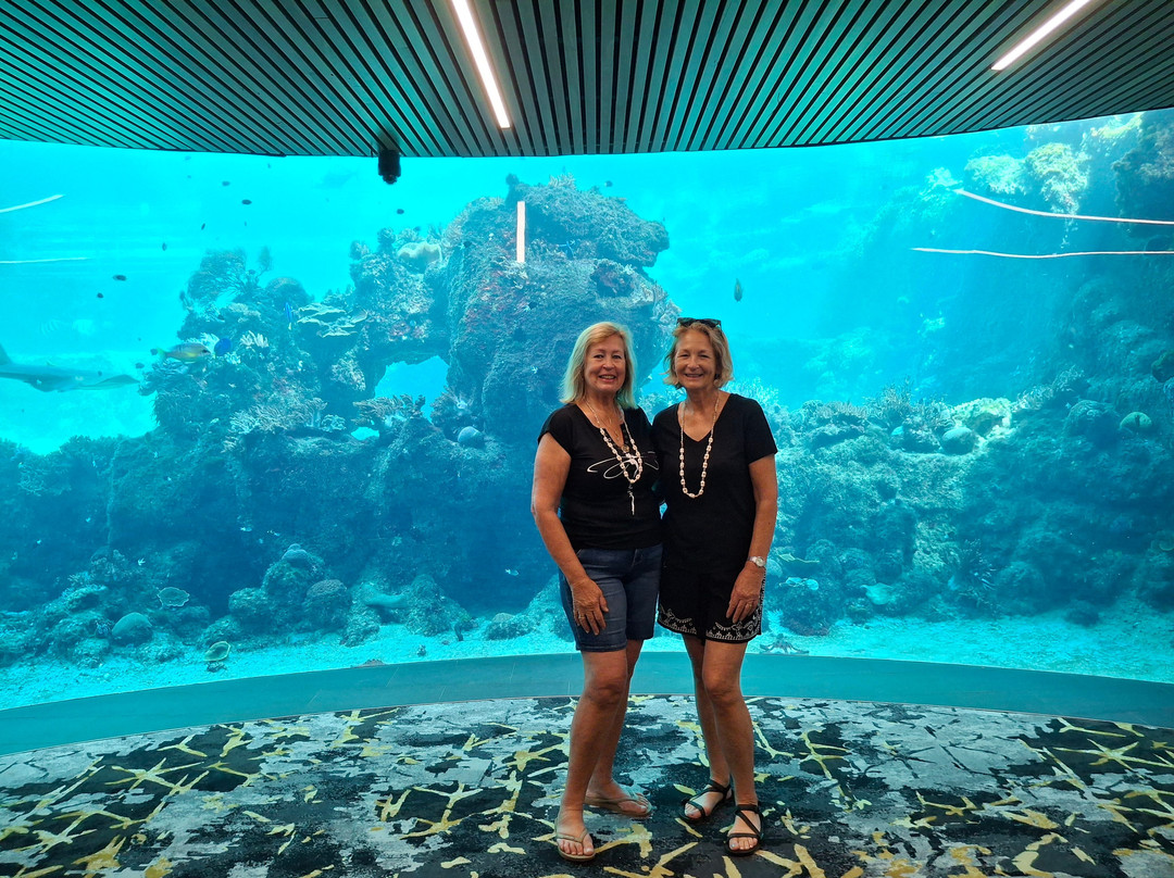 Daydream Island Living Reef-梦幻岛必去景点