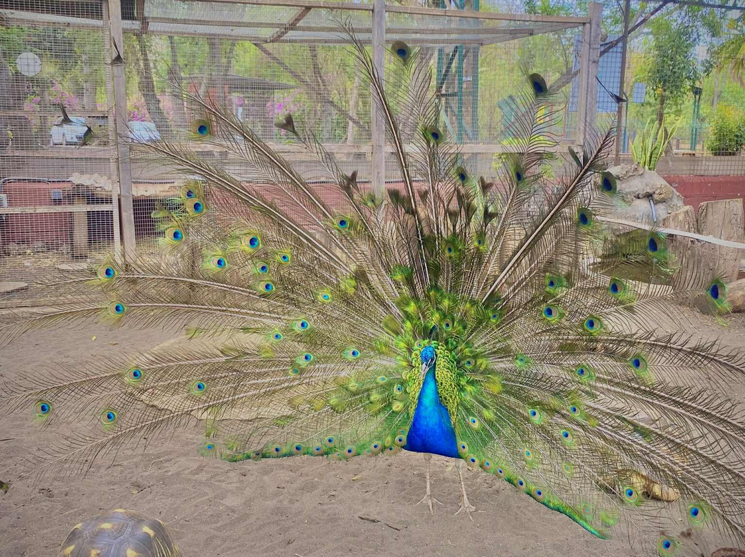 Croc Parc-L'Etang-Sale必去景点