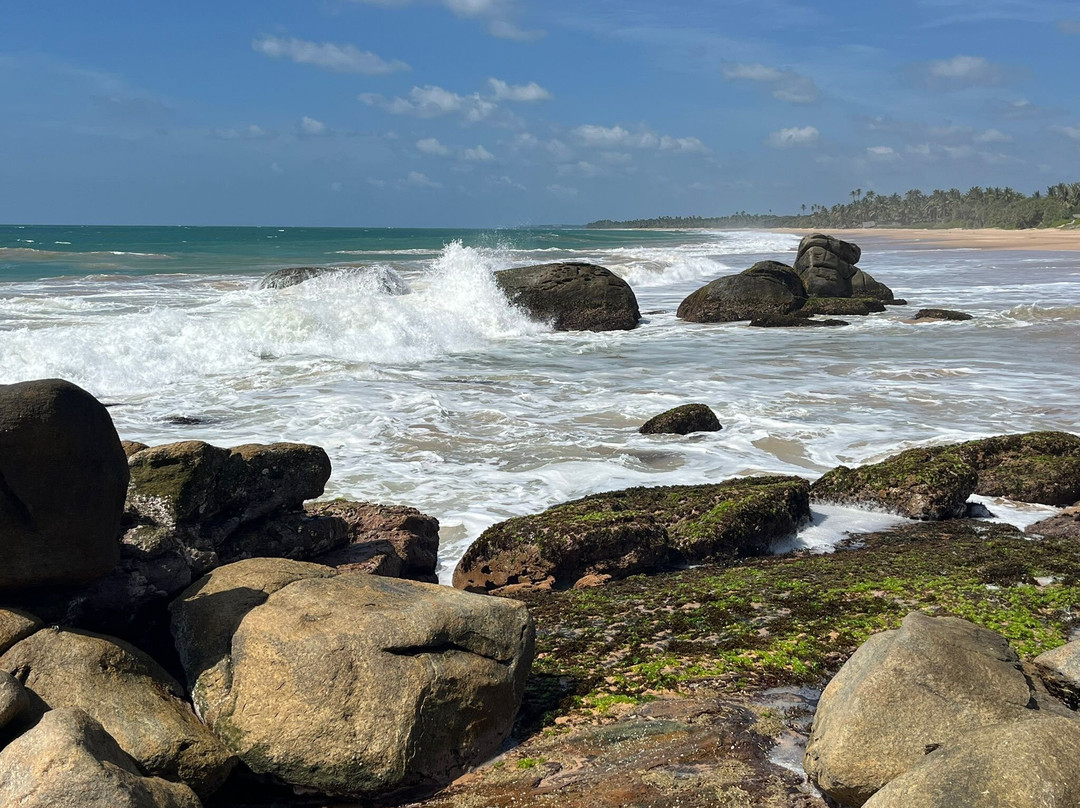 Surf Travel Lanka-Maggona必去景点
