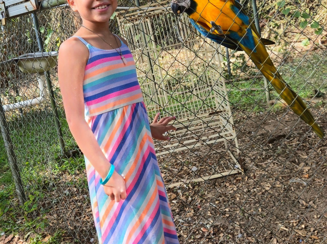 Uncle Sandy's Macaw Bird Park-彭萨科拉必去景点