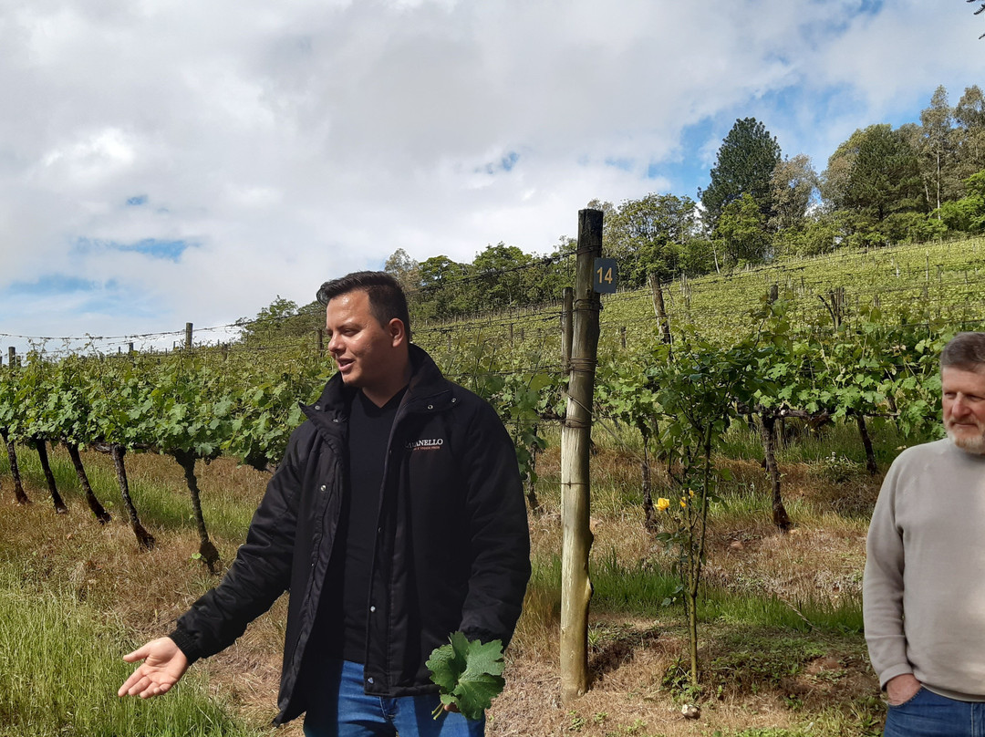 Vinícola Ravanello-格拉玛多必去景点