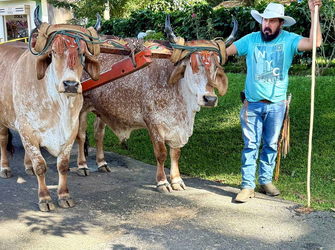 Doka Estate Coffee Tour-Poas Volcano National Park必去景点