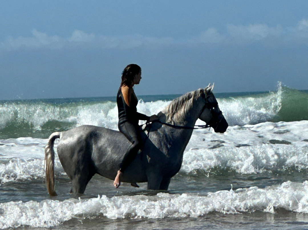 AyisRidingEssaouira-Diabat必去景点