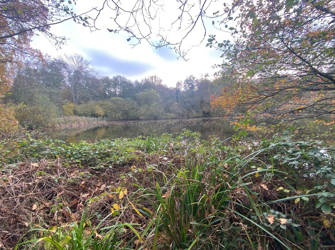 Sissinghurst Castle Estate Walking Trails