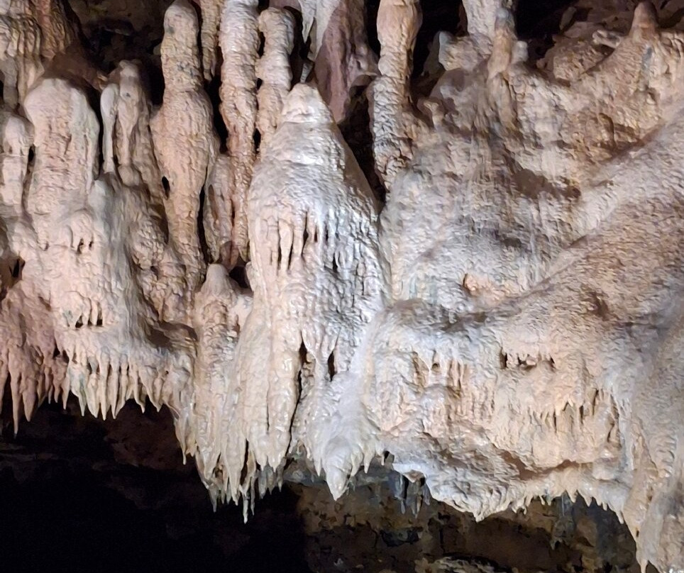 Inner Space Cavern-Georgetown必去景点