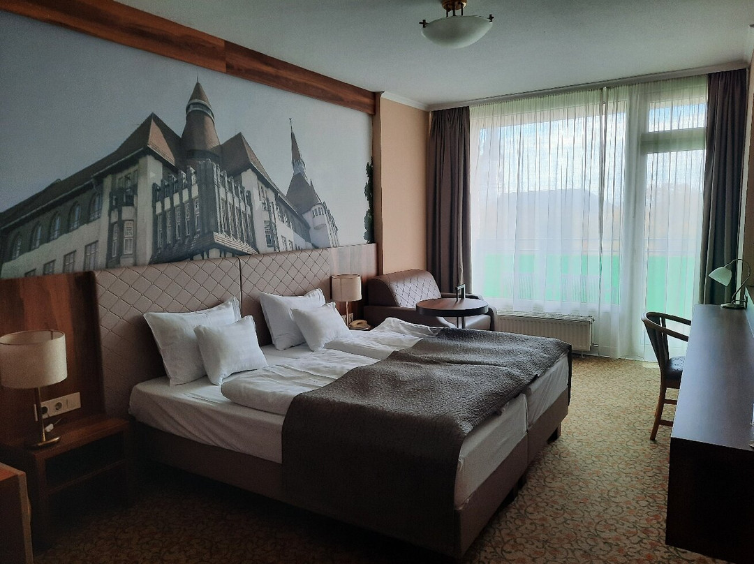 Wellnesshotel Aranyhomok主图