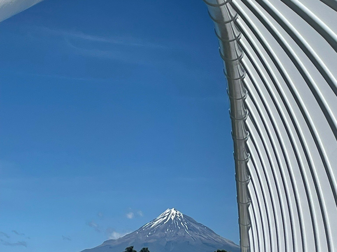 Te Rewa Rewa Bridge-新普利默斯必去景点