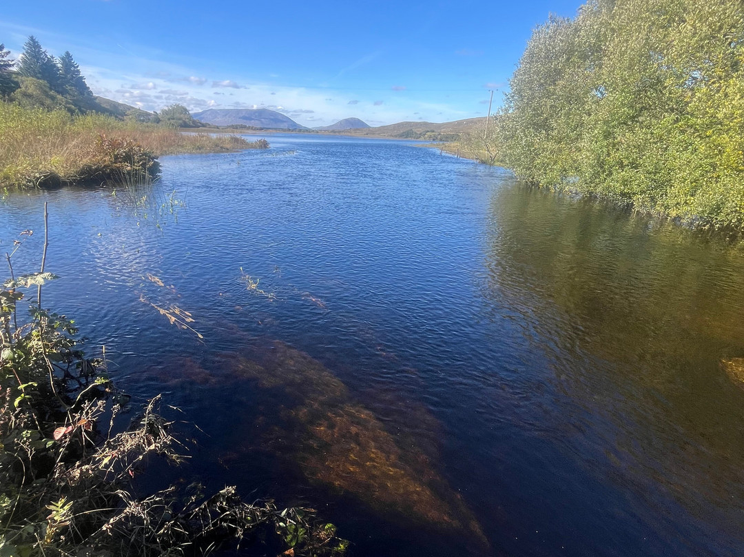 Danagher's Hotel主图