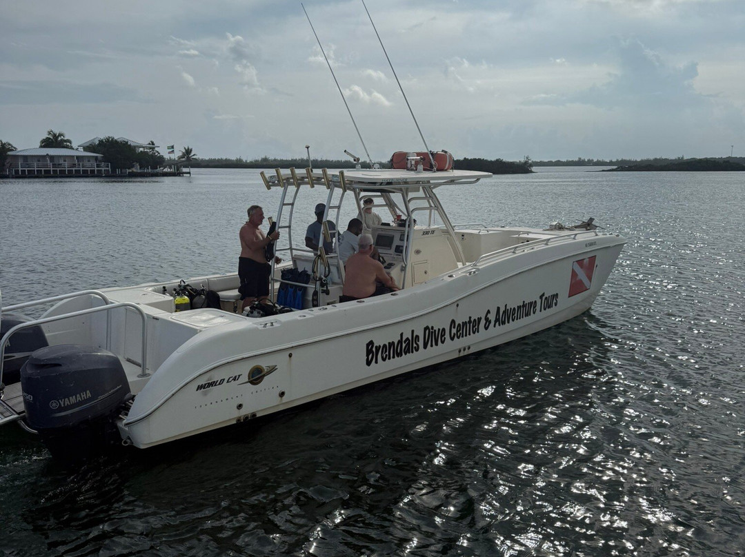 Brendal's Dive Center-Green Turtle Cay必去景点