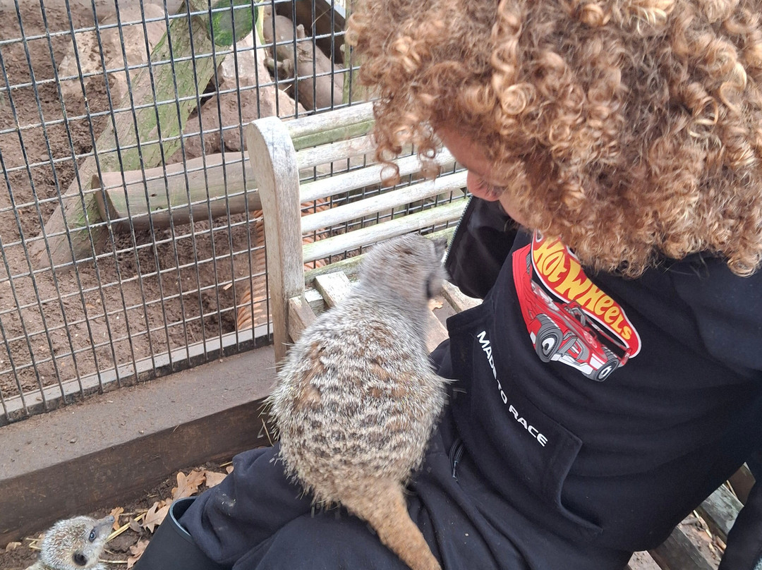 Lucky Tails Alpaca Farm-Atherstone必去景点