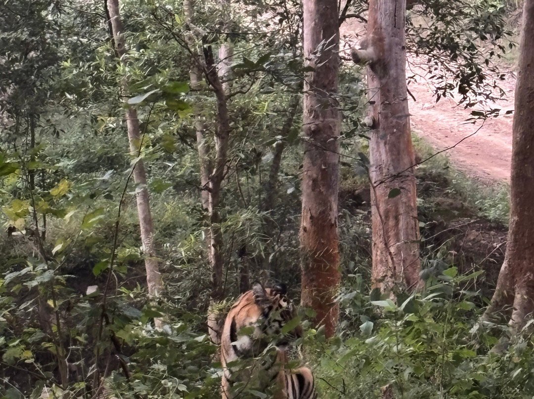 Panna National Park-Panna District必去景点