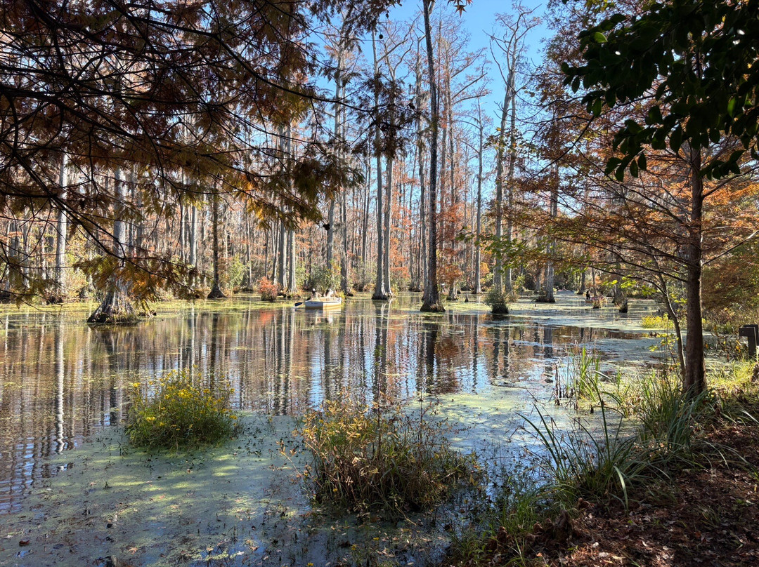 Cyprus Gardens-蒙克斯科纳必去景点