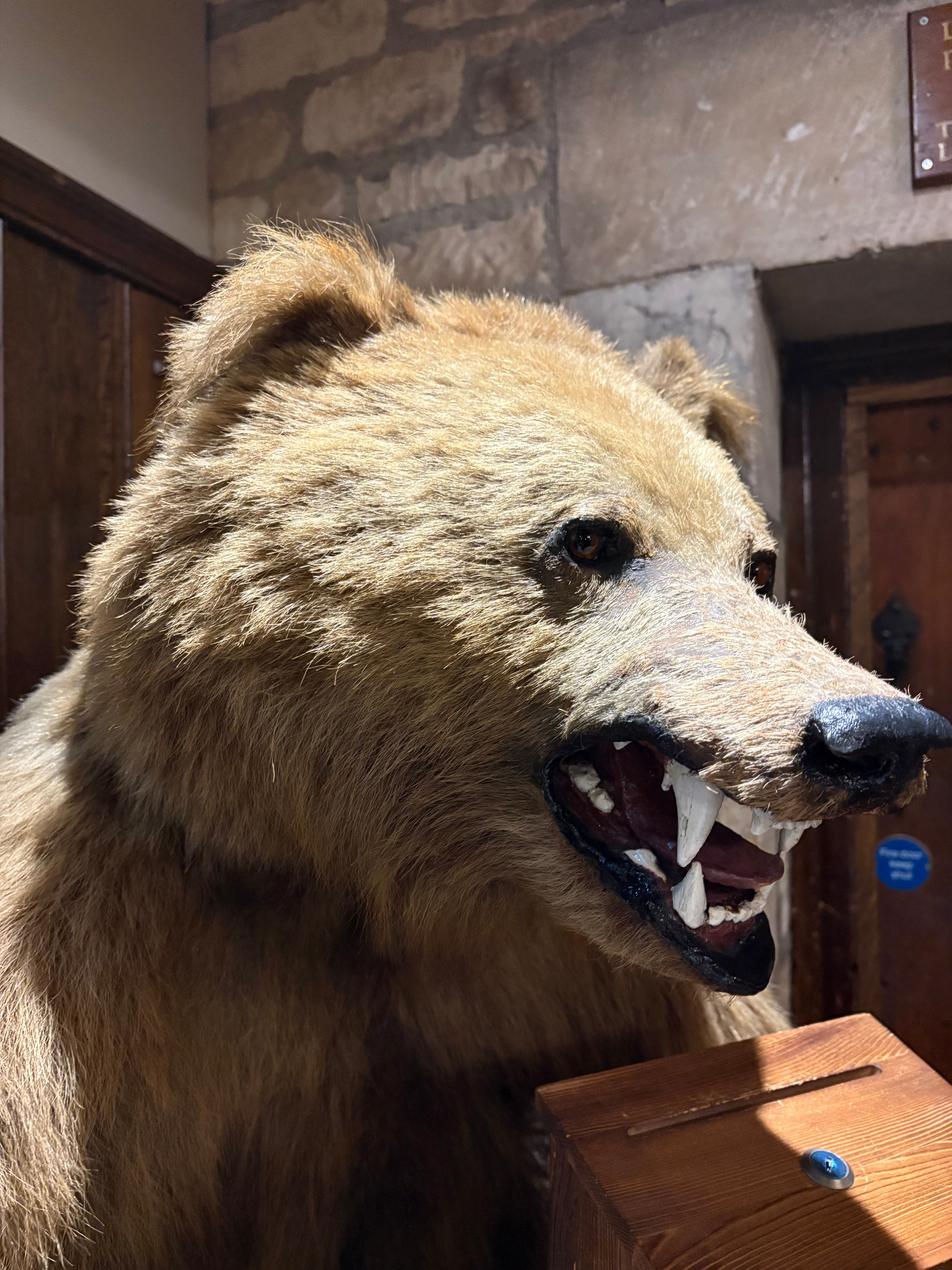 罗德布鲁熊酒店-官方