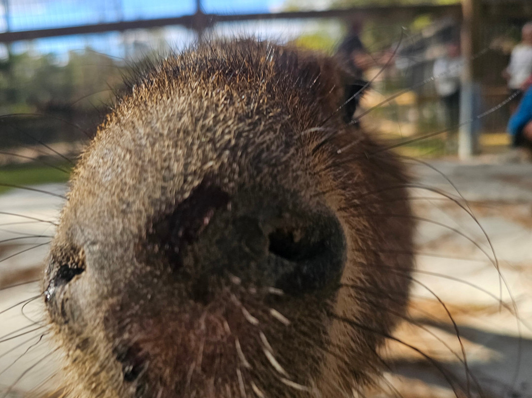 Wild Acres-McHenry必去景点