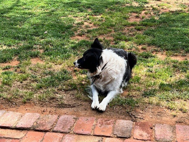 Charles Melton Wines-塔努达必去景点