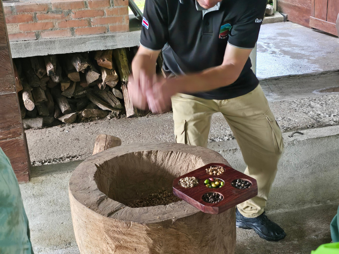 Cafe & Cacao Tour Bijagua-Bijagua de Upala必去景点