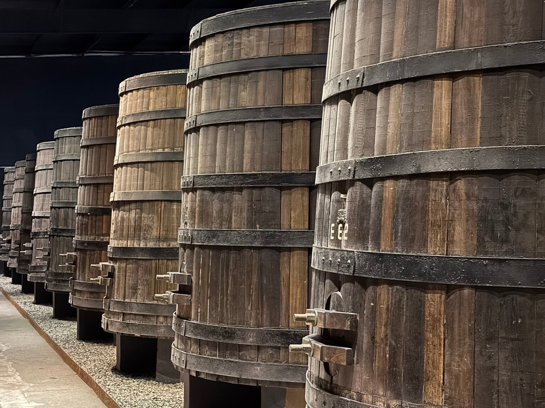 Bodegas Domecq-恩塞纳达必去景点