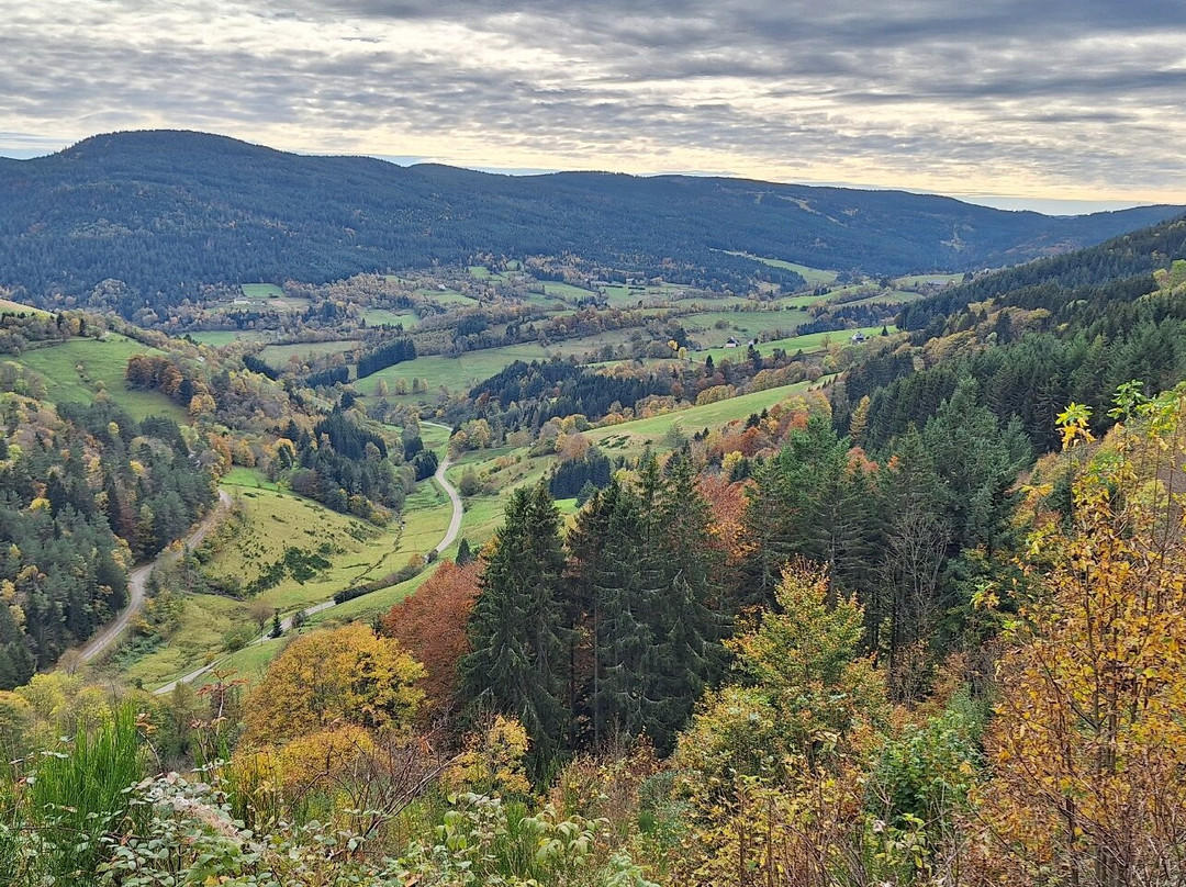 Hotel De La Poste主图