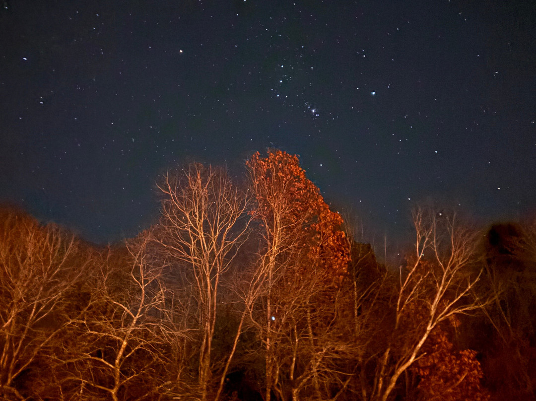Abbey's Lantern Hill Inn主图