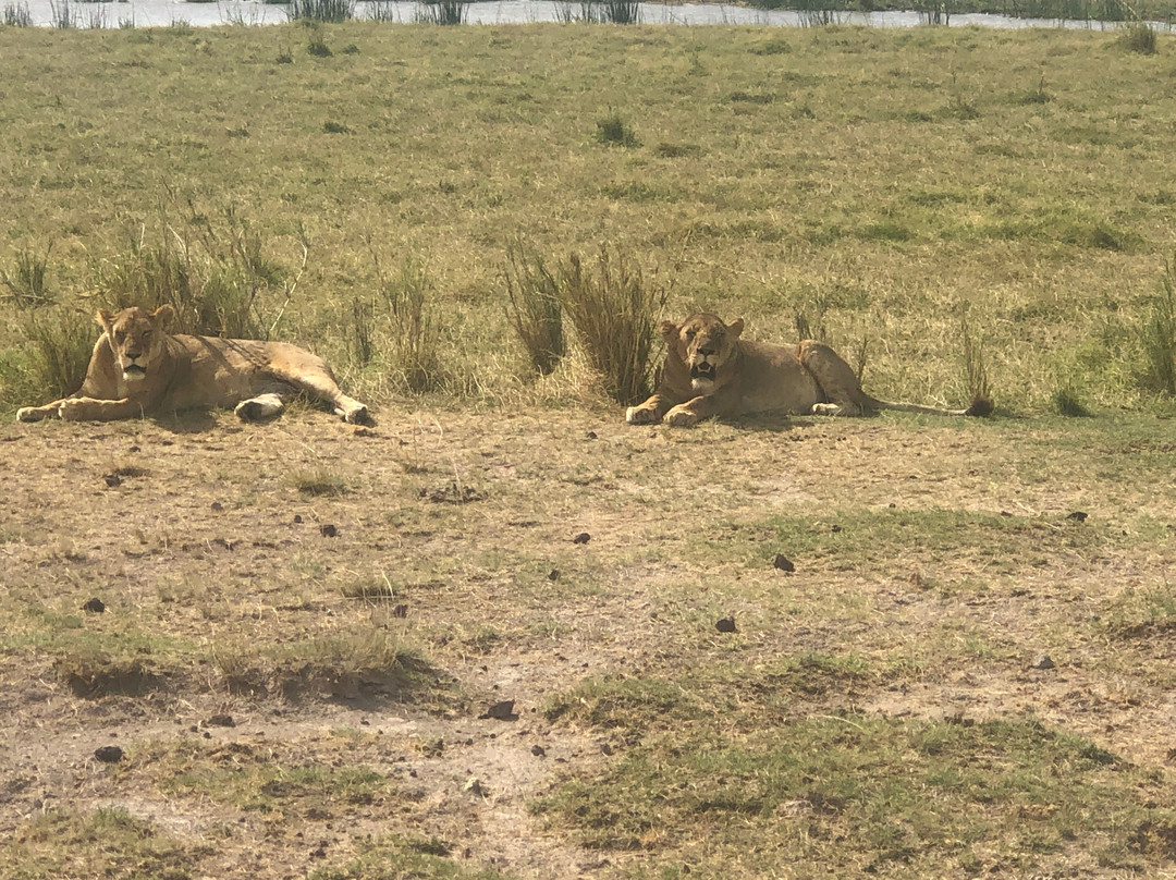 Amboseli National Park-Amboseli Eco-system必去景点