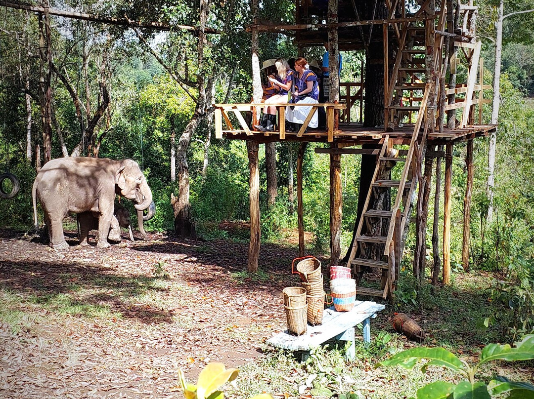 Blue Daily Elephant Care Sanctuary-清迈必去景点