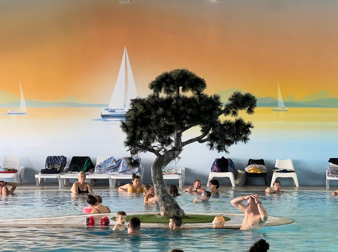 Hotel Terme - Terme Čatež主图