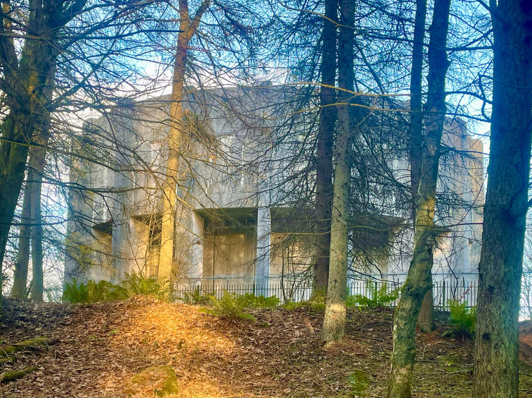 Templeton Woods-敦提必去景点