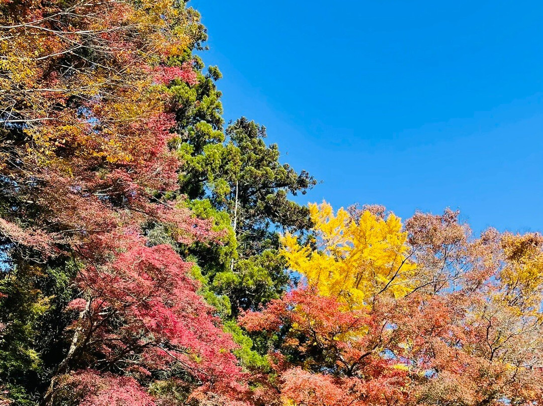 Mt. Takao Chairlift-八王子市必去景点