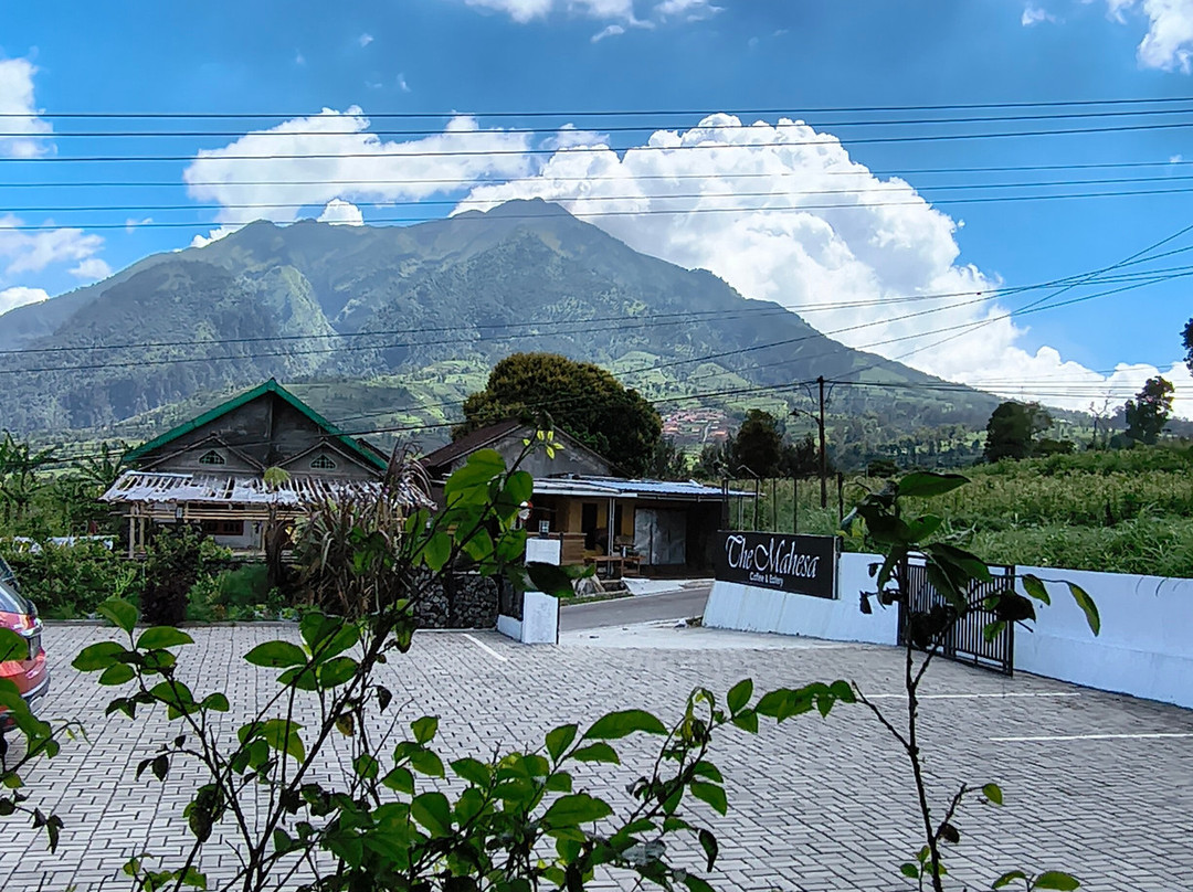 The Mahesa Coffee And Eatery