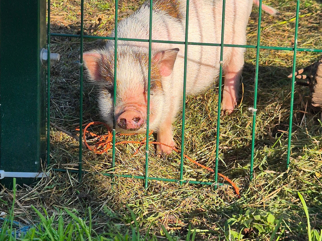 Darzini-Kekava必去景点