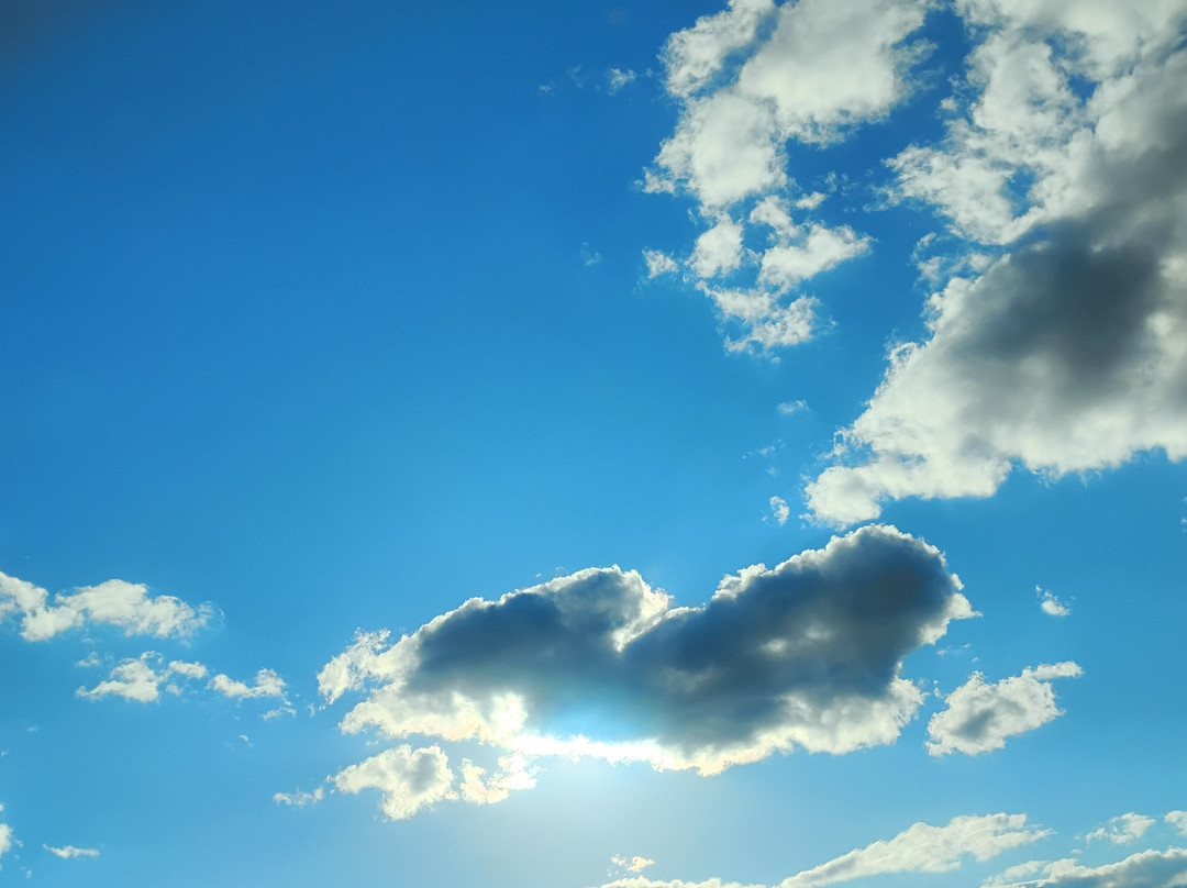 Comfort Inn & Suites Cambridge主图