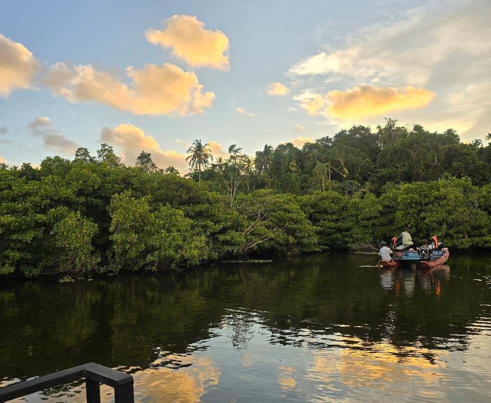 Mirissa Eco Lagoon Safari-美蕊沙必去景点