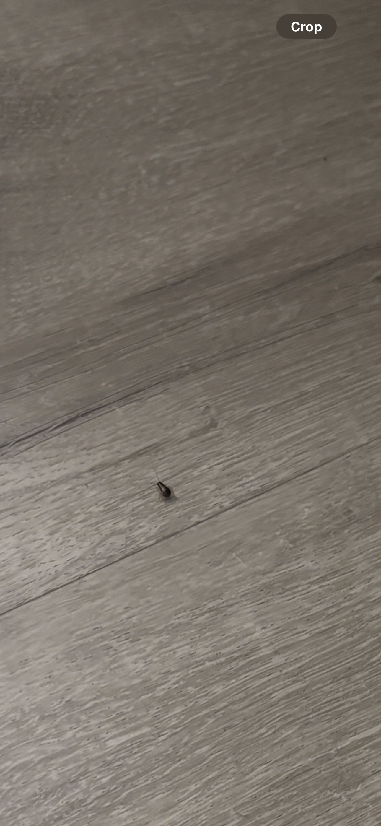 Dunes Village Resort-官方