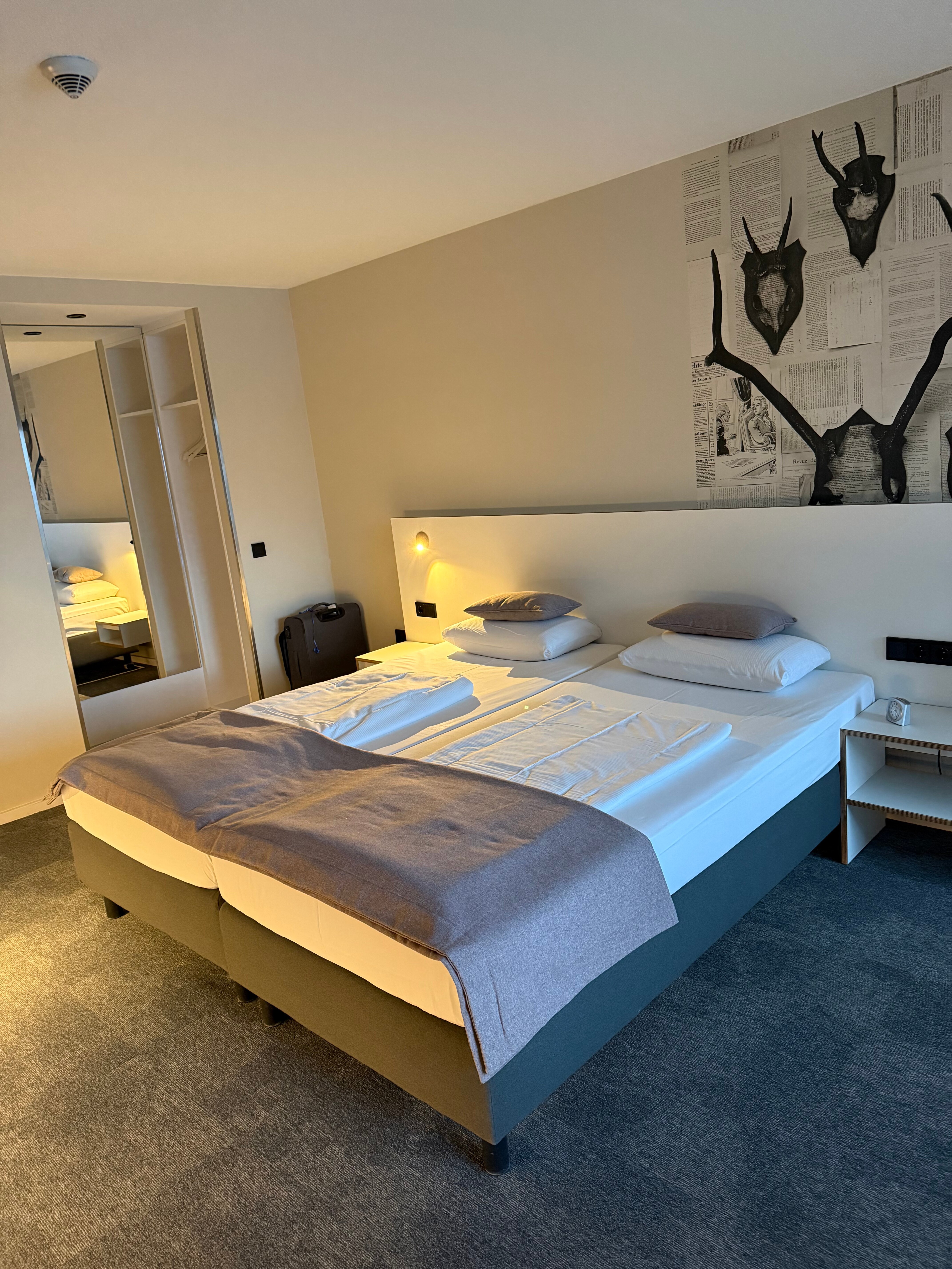 Dorint Resort Winterberg-客卧