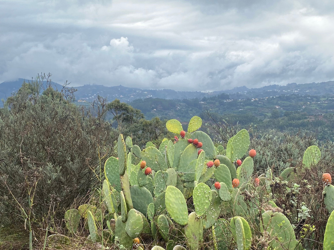 Casa del Queso-Guia必去景点