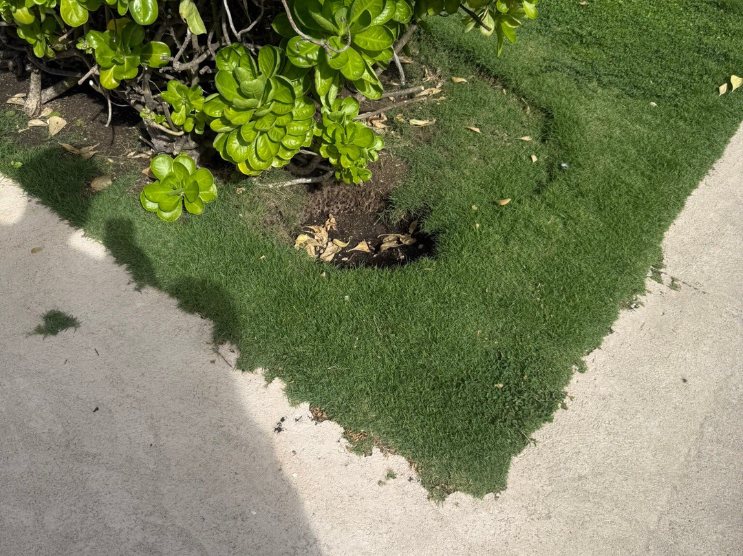 Dover Beach-圣罗伦斯峡必去景点