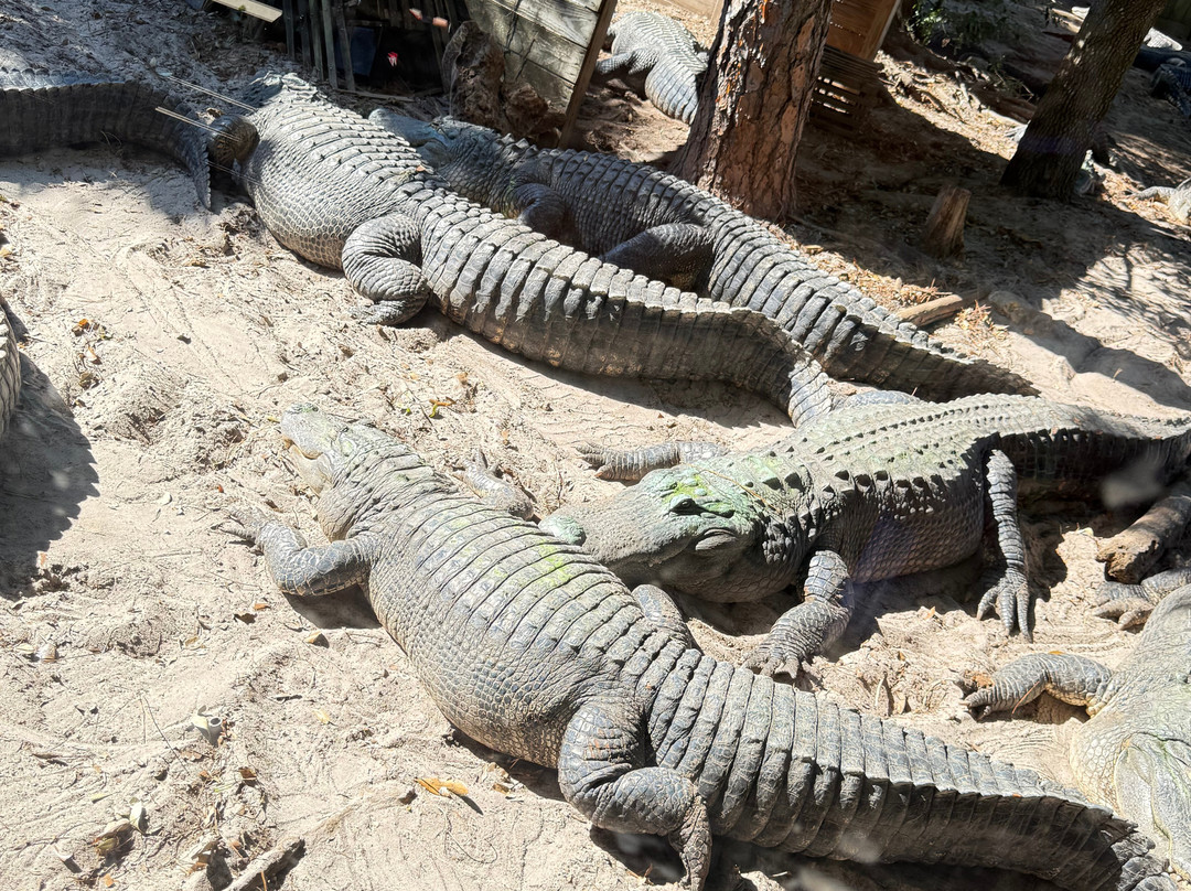 Zoo World Zoological Park-巴拿马城海滩必去景点